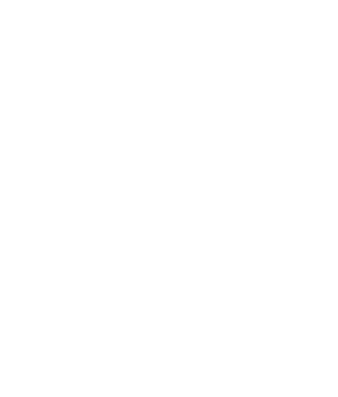 Logo Fazenda Pedra Alta